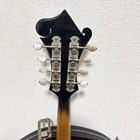 Picture 14 of 18