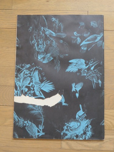 Audubon Folio 30 dipinti grandi uccellini testo di George Dock Jr 14x17 set completo - Foto 19 di 22