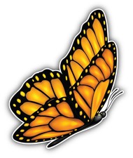 Orange Butterfly Car Bumper Sticker Decal 4'' x 5''