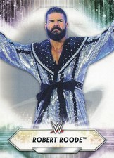 2021 Topps WWE #160 Robert Roode