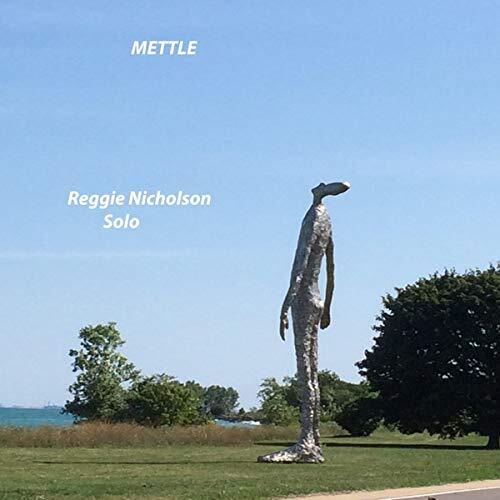 Reggie Nicholson Mettle (CD)