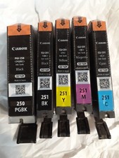 Genuine CANON 250/251 Genuine Ink Cartridges Set