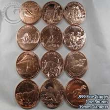 "12 Dinosaur Set" 1 oz .999 Copper Rounds Beautiful Designs READ