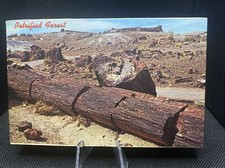 POSTCARD: Petrified Forest National Park Arizona F18￼