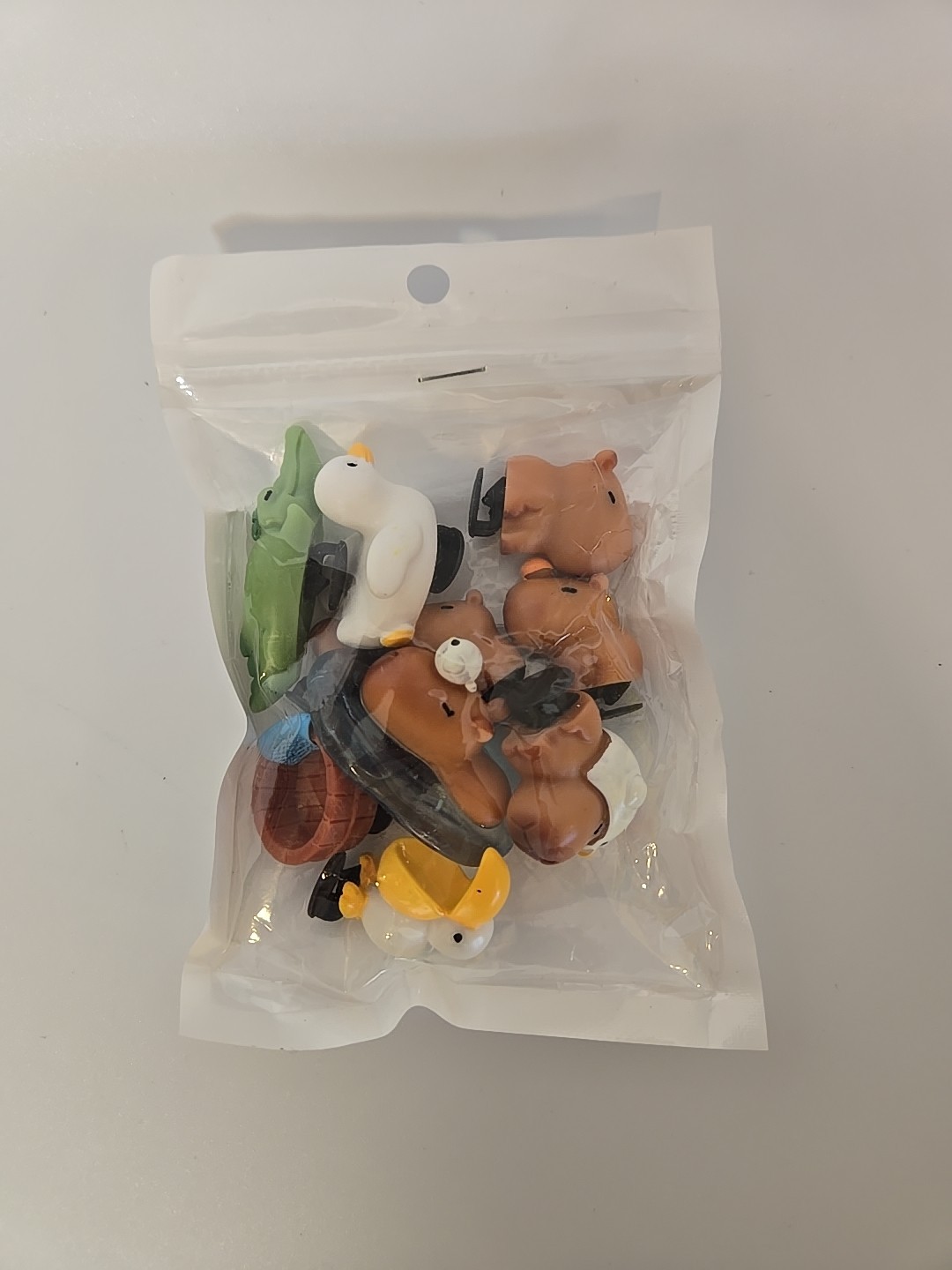 Foto 1 di 2