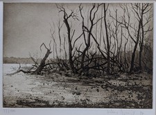 Lichtung Radierung von Klaus Böttger 1977