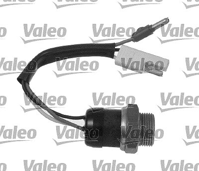 VALEO 819828 Temperaturschalter, Kühlerlüfter für CITROËN,FIAT,PEUGEOT