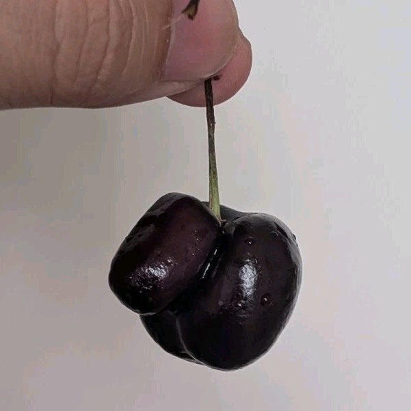 Cherry shaped like a you know what