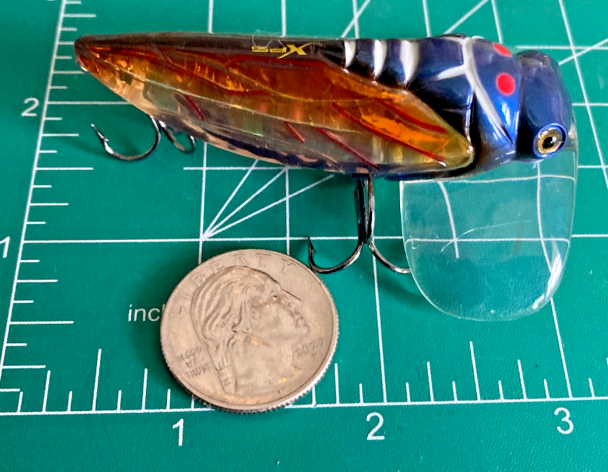 Bass Pro Shops XPS Lazer Eye Cicada Top Water Fishing Lure JITTER