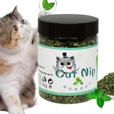Catnip For Cats Fresh Catnip For Cats Interactive Calming Entertainment Amiable