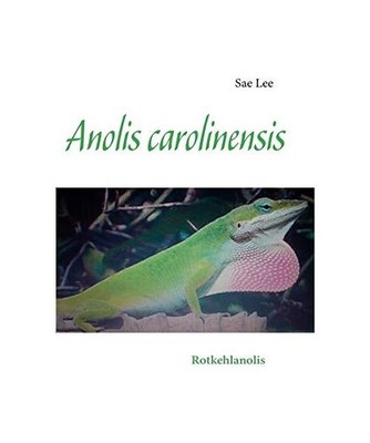 Anolis carolinensis: Rotkehlanolis: Rotkehlanolis, Lee, Sae
