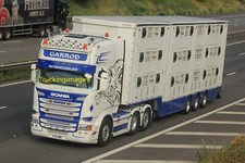 TRUCKINGIMAGES TRUCK PHOTOS - LIVESTOCK SCANIA TRUCKS - 250 LISTED