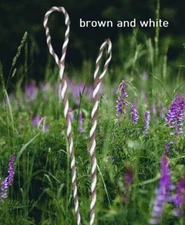 Flemish Twist Bowstring MEDIUM BROWN AND WHITE/ B55 / CHOOSE LENGTH! / $16.95