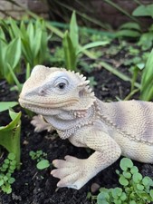 Bearded Dragon Garden Ornament Lizard Statue Rockery Patio Flower Bed Decor