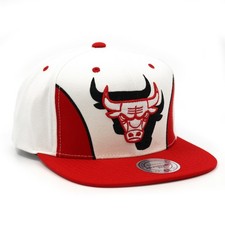 Chicago Bulls Collecting and Fan Guide 40