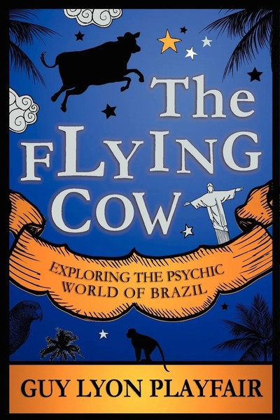 The Flying Cow Guy Lyon Playfair Taschenbuch Kartoniert / Broschiert Englisch-image