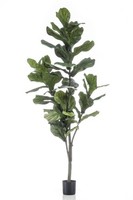 Artplants Kunstbaum Ficus Lyrata Enriko, Kunststamm, GrüN, 150Cm