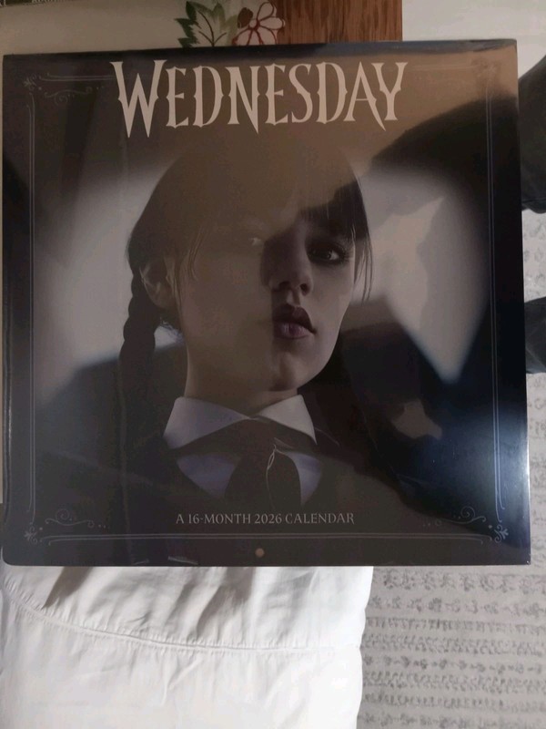DateWorks 12"x12" 2026 Wednesday Wall Calendar New Sealed Trends International 