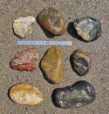 5 POUNDS of TUMBLING / CUTTING ROUGH: Large size 3-5". Agate's, Jasper's etc.