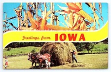 Postcard Greetings From Iowa Large Letter Banner Multiview Cornstalks Horses Hay