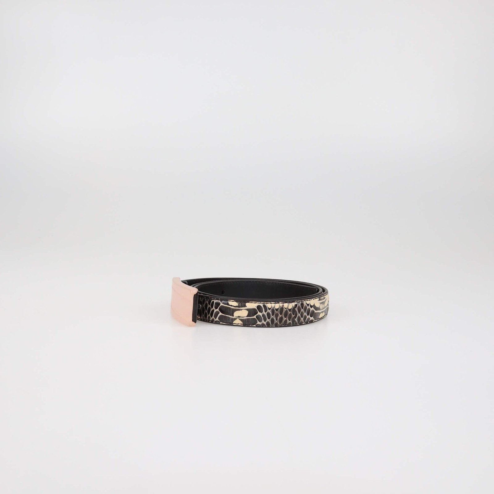 Bottega Veneta Tricolor Python and Alligator Leat… - image 2