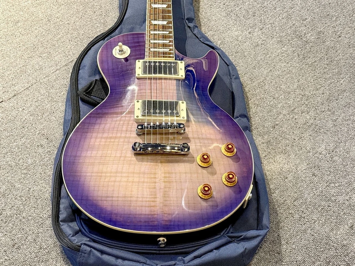 Epiphone Les Paul Standard PlusTop Pro 6 String Electric Guitars