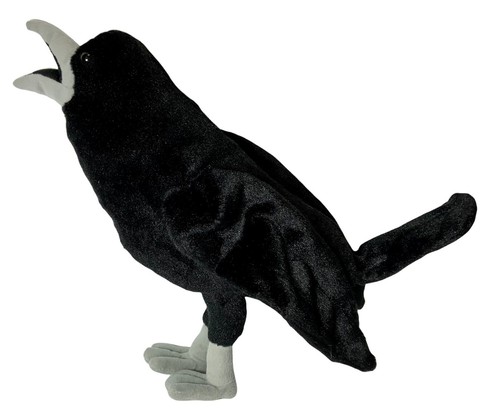 Adore Standing Shadow Raven Crow, Bird 