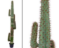 Mexikanischer Kaktus, GrüN Mit Topf, 230Cm Von Ibizanos
