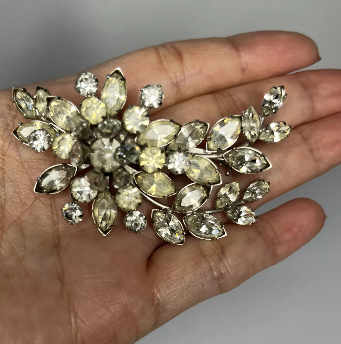 Jewel crest shop brooch