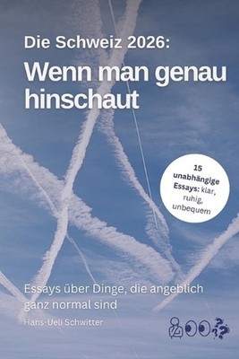 Wenn man genau hinschaut: Essays ?ber Dinge, die angeblich ganz normal sind (Sch