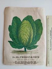 3 1880 ERA VEGETABLE PICTURES CABBAGE TOMATO WAX BEAN D M FERRY SEED CO DETROIT