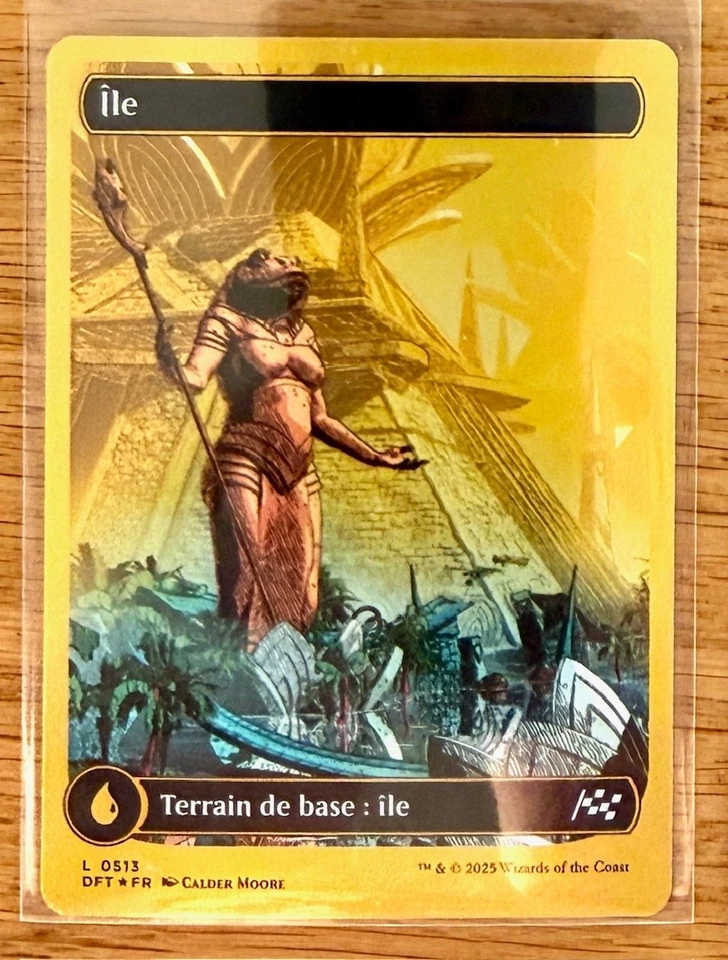 (y)CARTE MAGIC - AETHERDRIFT First place - Land / Ile - L0513 /FOIL -FR - Photo 1/1