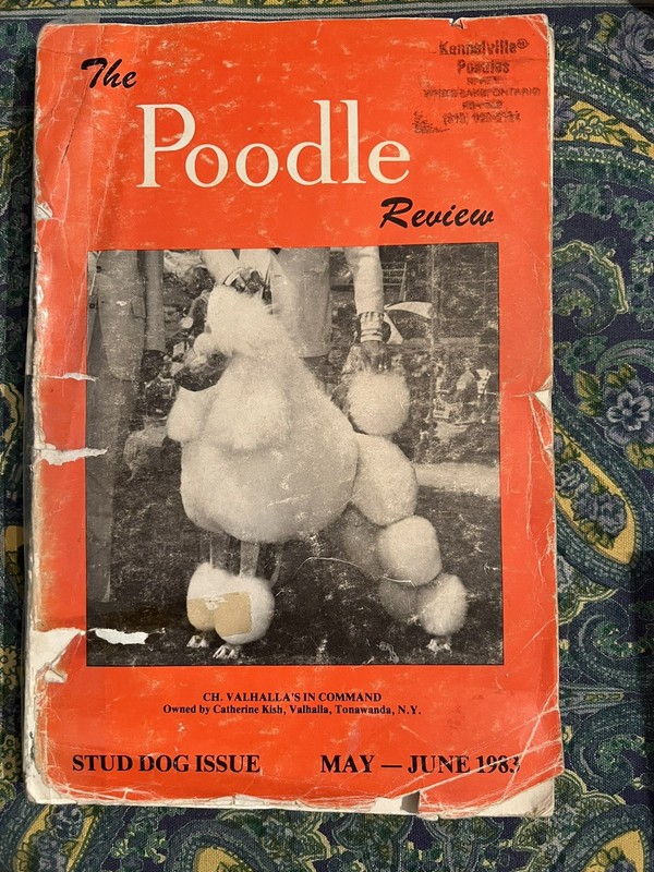 POODLE REVIEW Magazine #27 Stud Issue 1983