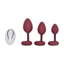Remote Control Vibrating Silicone Anal Plug Set - S/M/L, 10 Patterns, IPX7