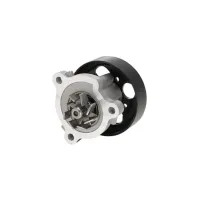 Dayco Engine Water Pump DAY-DP453