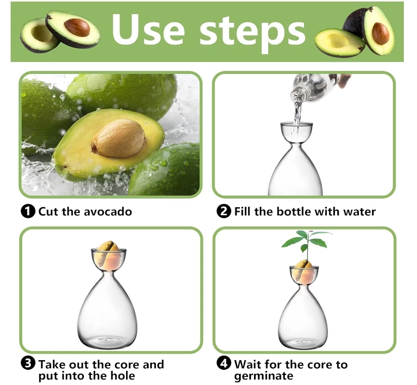 Небольшая стартовая ваза для семян авокадо, ваза для выращивания авокадо 2 шт. - Изображение 3 из 4