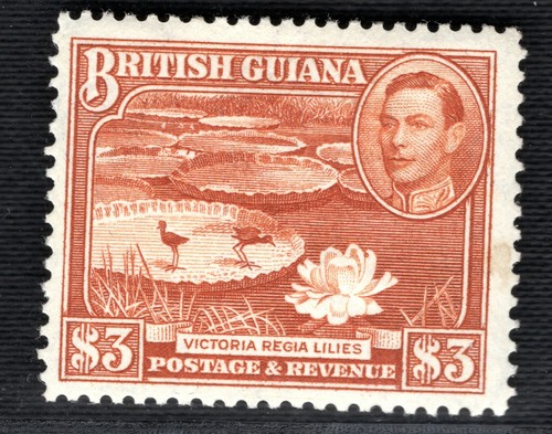 BRITISH GUIANA Stamp SG.319 $3 High Value (1945) Fine Mint LMM Cat £38 BLBLUE21 - 第 1/6 張圖片
