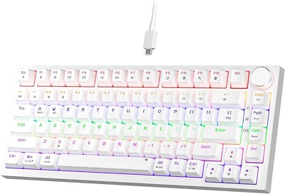 NEWMEN GM326 Mechanische Tastatur, Kabelgebundene Gaming Tastatur, 75% Prozent