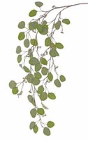 Artplants KüNstlicher Eucalyptuszweig Murzim Mit FrüChten, GrüN, 145Cm