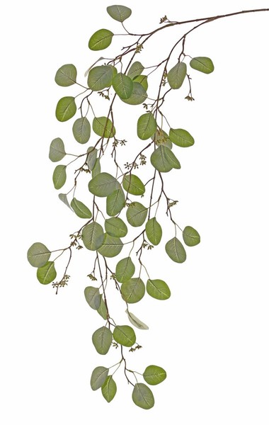 Artplants KüNstlicher Eucalyptuszweig Murzim Mit FrüChten, GrüN, 145Cm-image