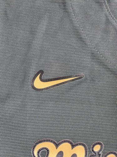 Nike Minnesota Twins MLB All-Star Game 2022 Blank Jersey YOUTH Size Large New - Picture 4 of 13