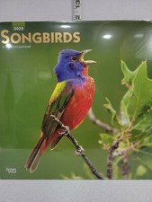 SongBirds Calendar 2020 Beautiful Photos Crafts Framing DIY Pictures Birds