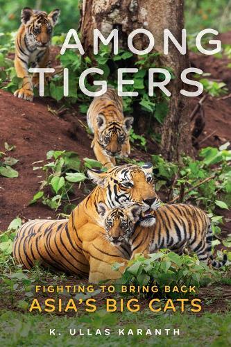 K. Ullas Karanth Among Tigers Hardcover Wildlife Conservation Book