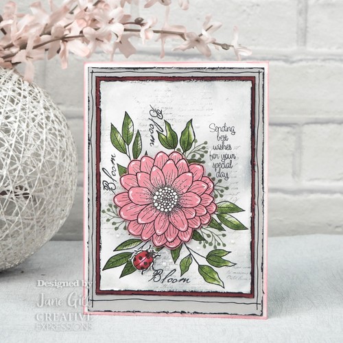Woodware Floral Clear Stamps by Jane Gill Creative Expression eBay
