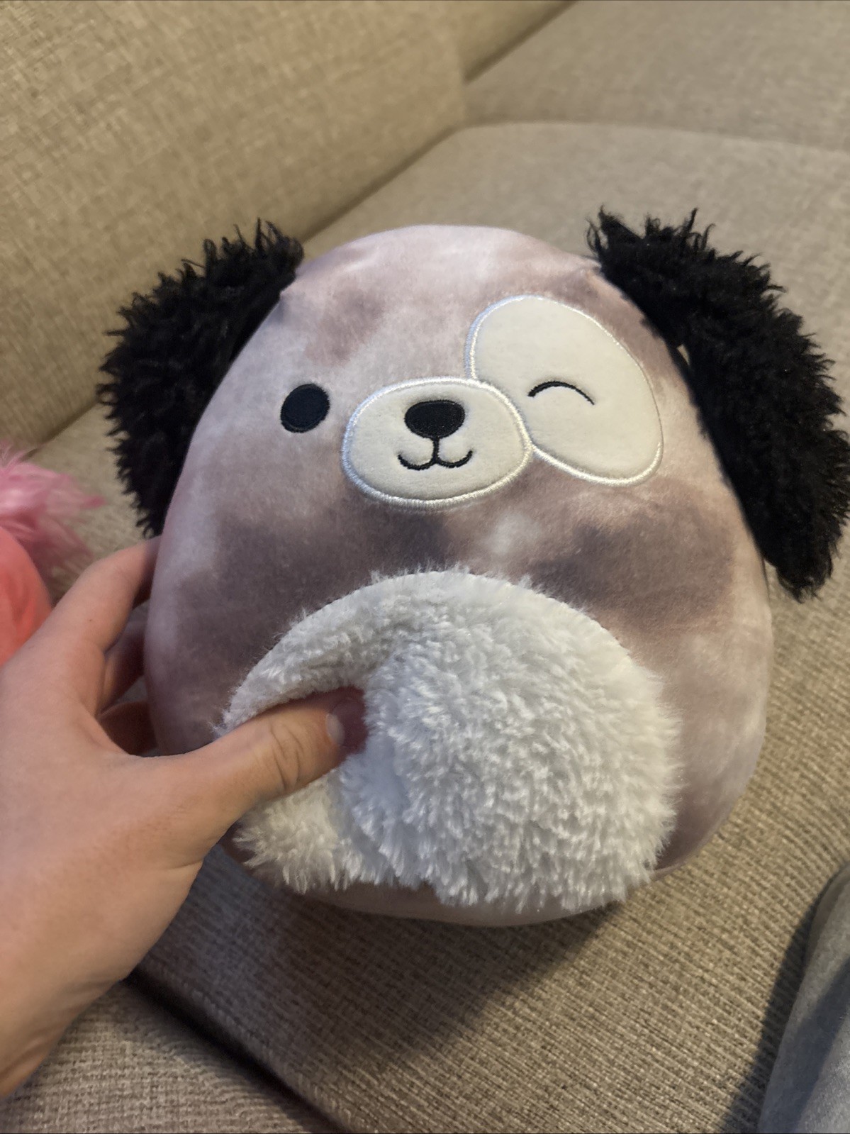 Squishmallow Kellytoy Zerdan The Dog Used No Tags 8" CM