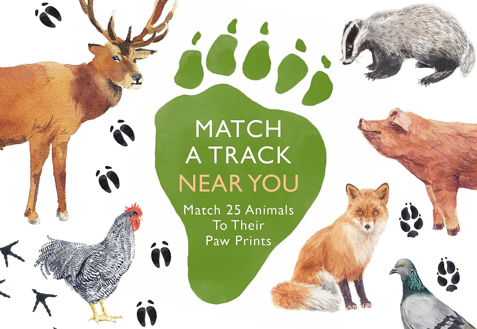 Match a Track Near You by Laurence King Publishing - Image 3