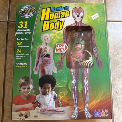 Wild! Science Hands On Human Body Anatomy Learning Activity Kit New & Sealed G35