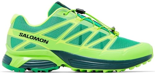 L47860700 Salomon XT-Pathway 2 Asphalt Black Green Gecko (Men's