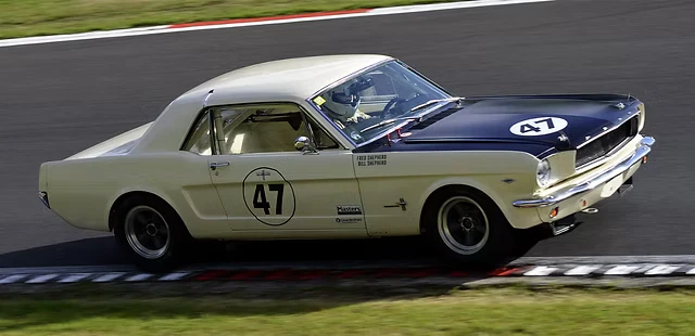 1966 Ford Mustang Classic Car Race Car FIA Track Car Project