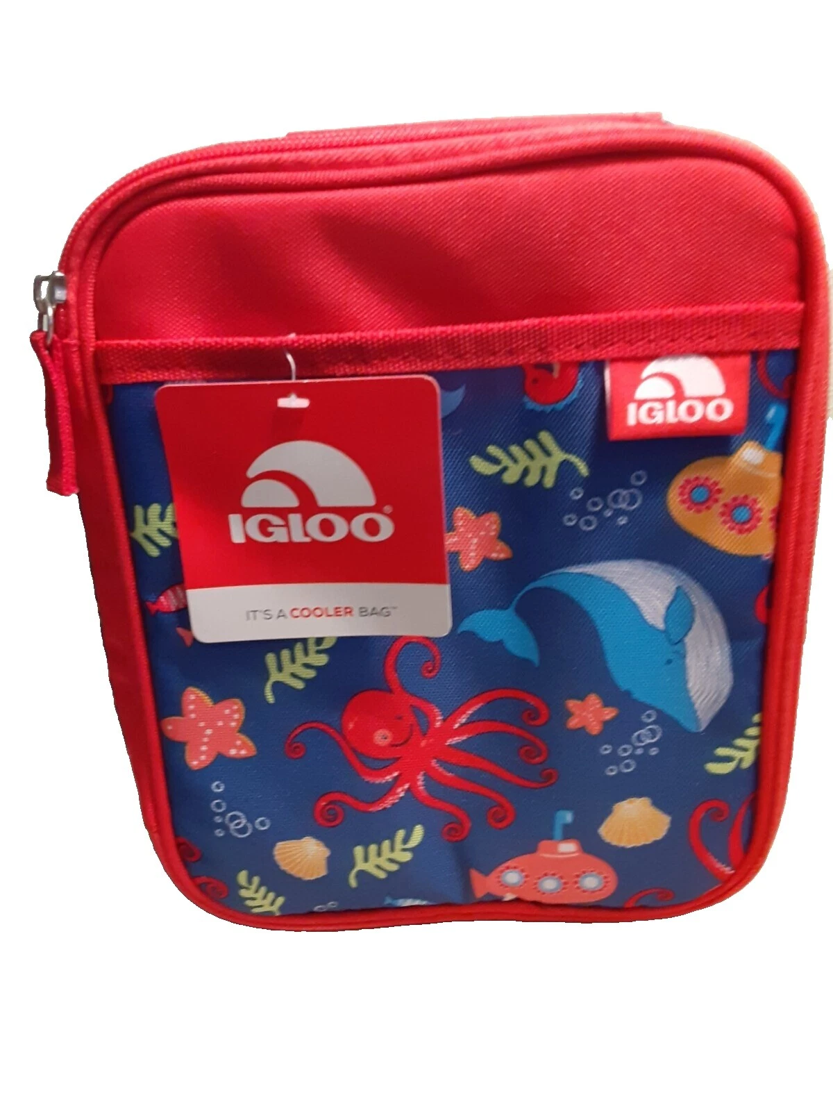 Igloo Lunch Boxes